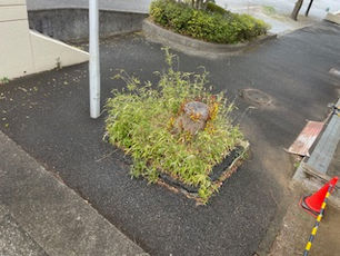 横浜市青葉区荏子田ー舗装やり替え工事ー