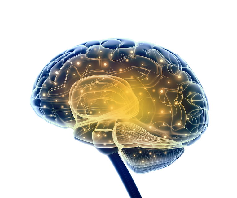 EVN_Cerebro.png