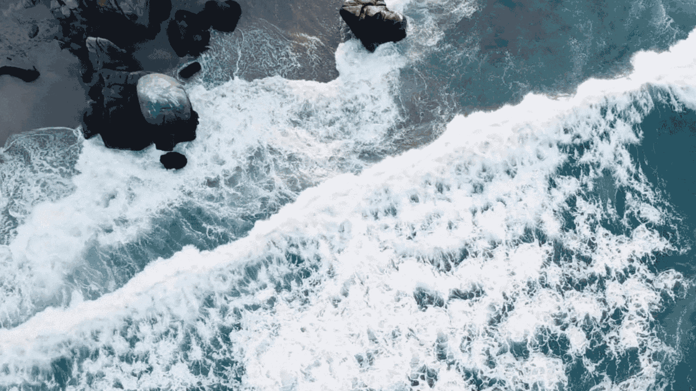 Frühlingserwachen-Web.gif