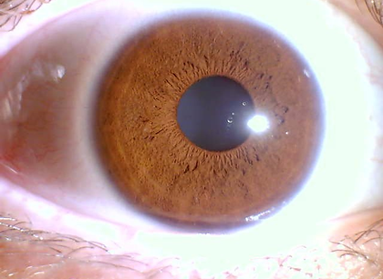 20201119蔡佳頤右.JPG