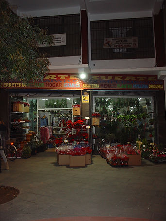 flores de pascua expuestas en una tienda