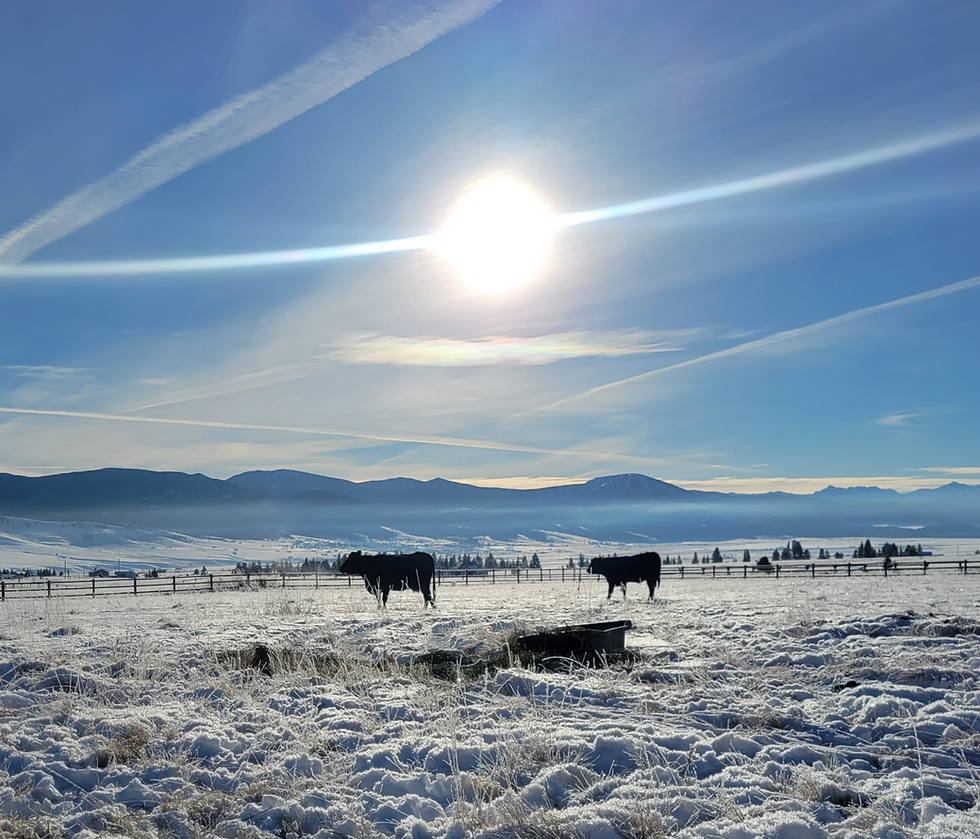 Raising Local: Farming with a Community Touch