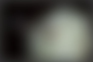 The Historic Griffith House Wedding : Liz & Jack