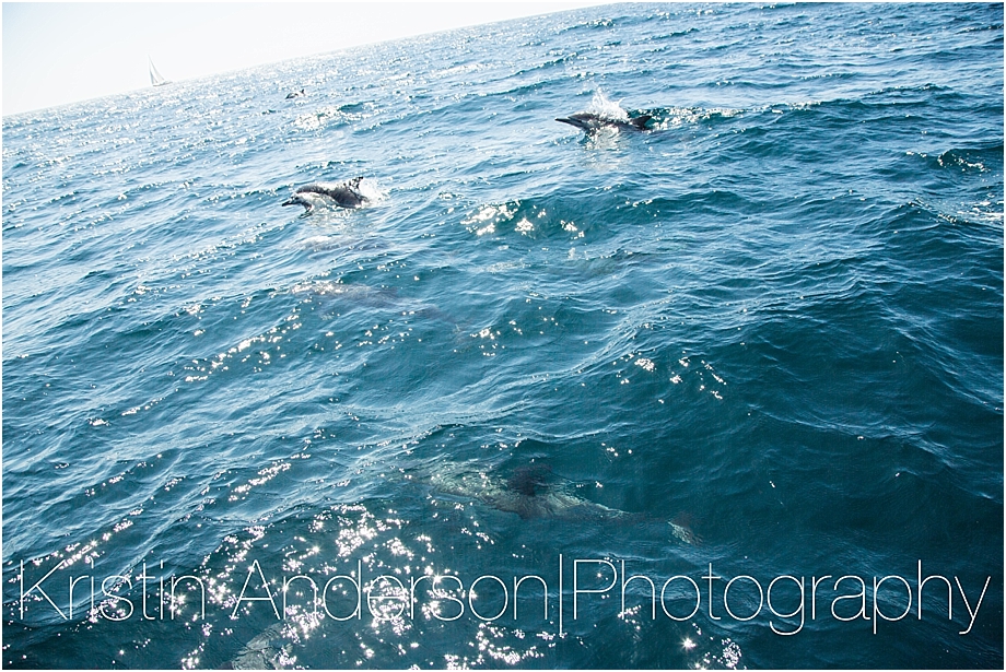 kristinanderson_photography_sailing_losangeles_engagement119