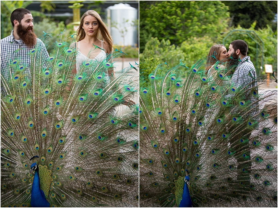 kristinanderson_engagement_photography_la_arboretum004
