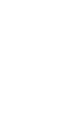 site-conceptus-(2).png