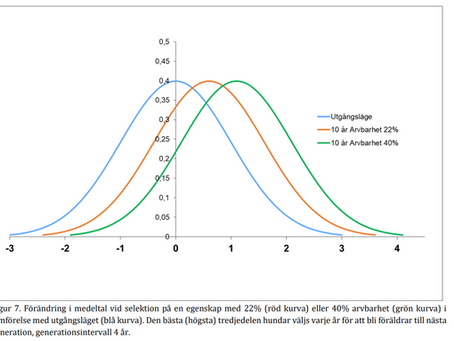 Varför är mentalitet så viktigt?
