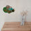 Miniature : Nuage en Solo Lfk #21 Menthe Verveine