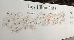 zoom sur un tissage circulaire rebrodé par les filomènes