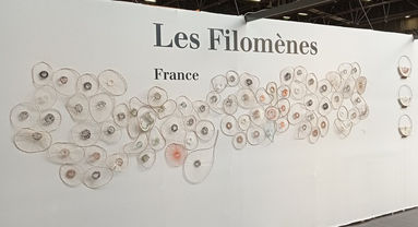 zoom sur un tissage circulaire rebrodé par les filomènes