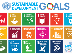 Athena Extends Commitment to United Nations Global Compact in 2022 Communication of Engagement