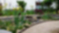 DJI_0120.jpg