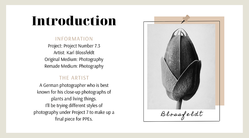 Art Presentations 2 (4).png