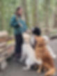 dog trainer commanding pack of dogs in the forest dog training happy dogs