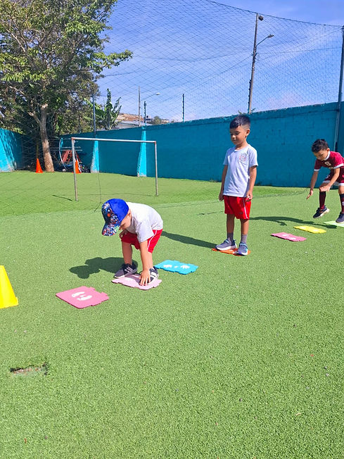 Imagen de WhatsApp 2025-07-30 a las 15.11.12_9077d014.jpg