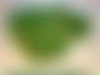 China-EU green ties set to expand