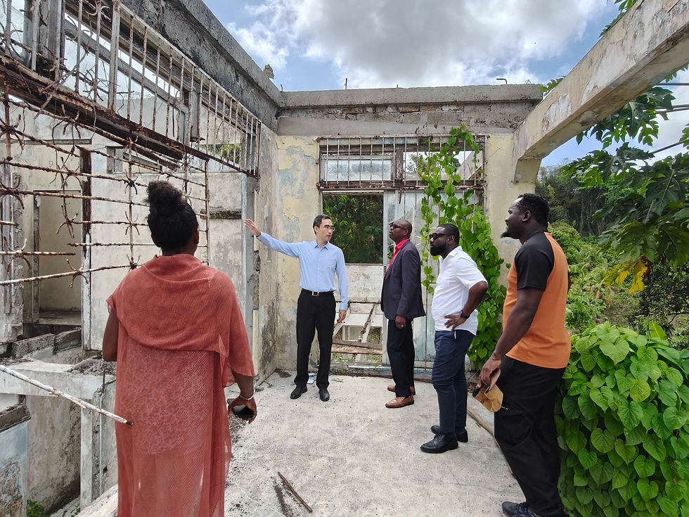 Grenada's Chinese ambassador and local officials inspect community project  