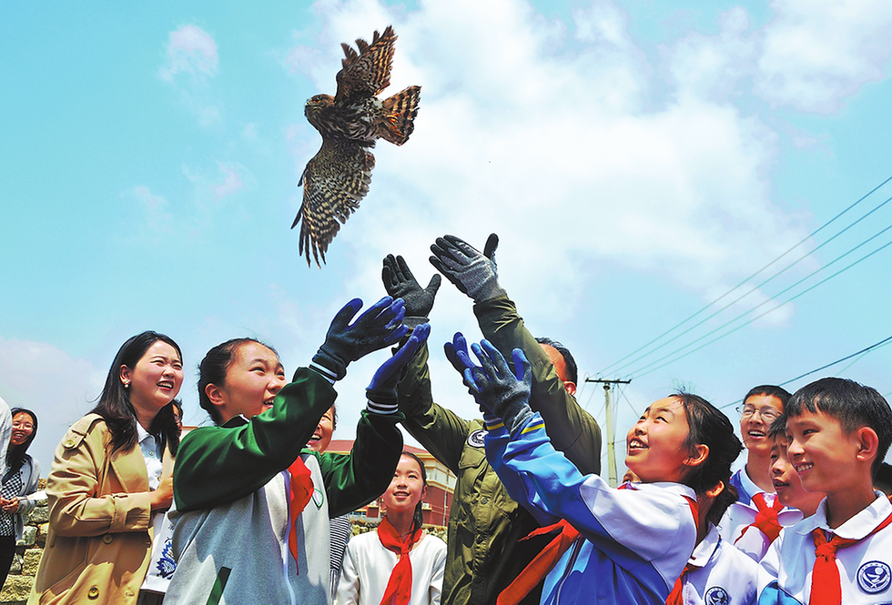 Conservation efforts boost population of wild flora, fauna