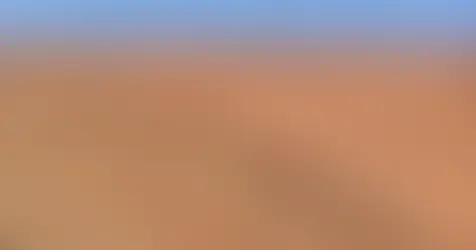 China issues guideline to boost energy conservation, carbon reduction