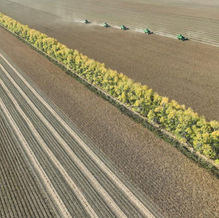 China issues 5-year plan for agricultural, rural modernization