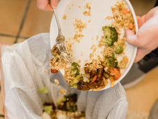 Tech solutions for cutting food waste urged in China