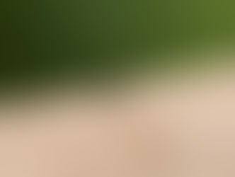 China issues measures to prevent dengue fever import amid global surge