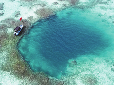 Rare coral reef blue hole found in South China Sea