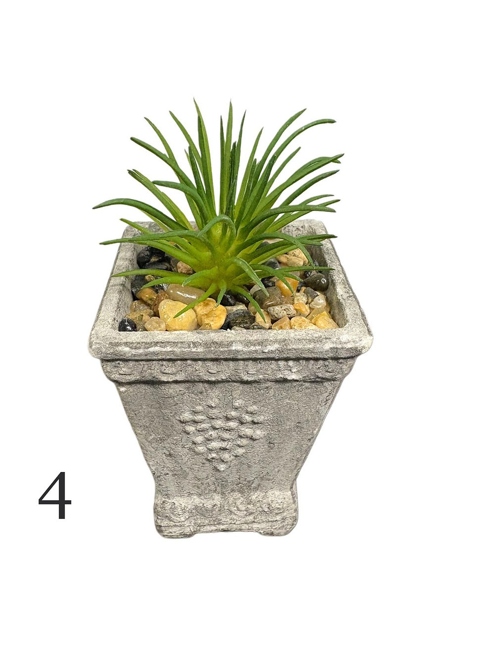 Miniatura: CACTUS