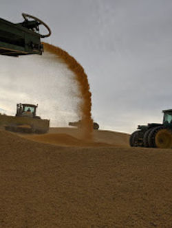 MVIMG_20190919_175843