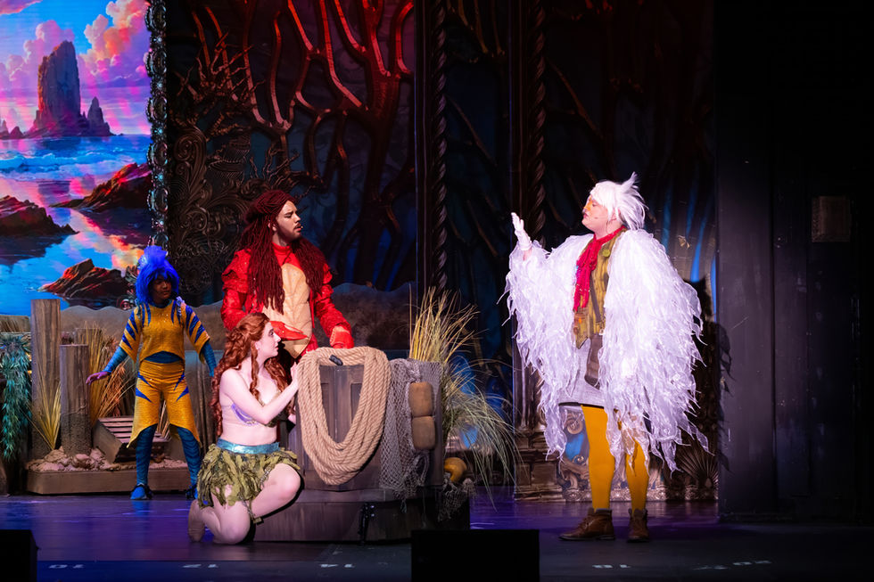 53874946445_02cdcb85c5_o