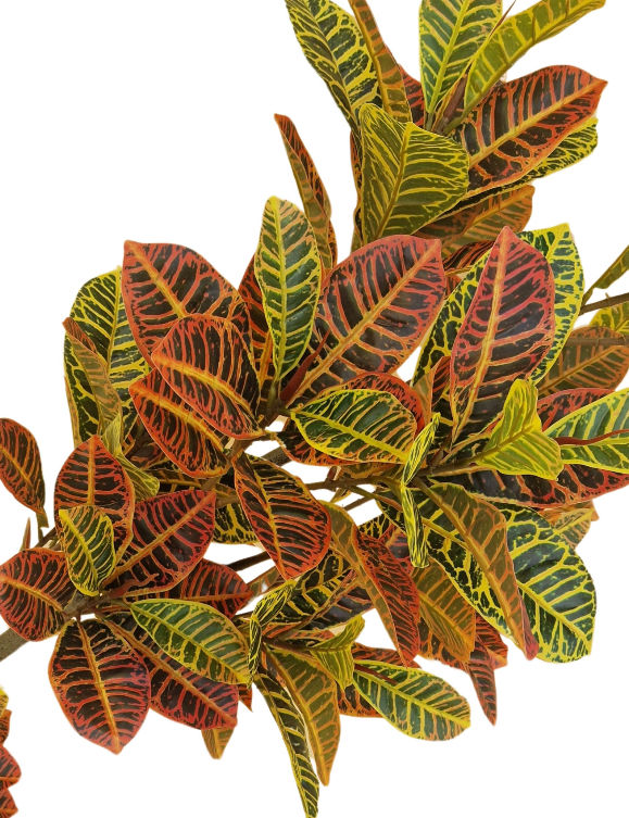 Miniatura: Croton Artificial Decorativo - Planta Artificial 160 cm