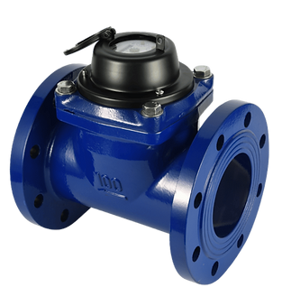 Removable Woltman Water Meter (LXLC-B).png