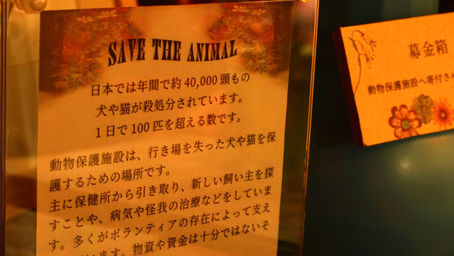 支援先のご報告と御礼