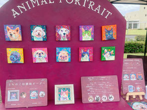 寄付のご報告 𖧷 ご協力いただきありがとうございます