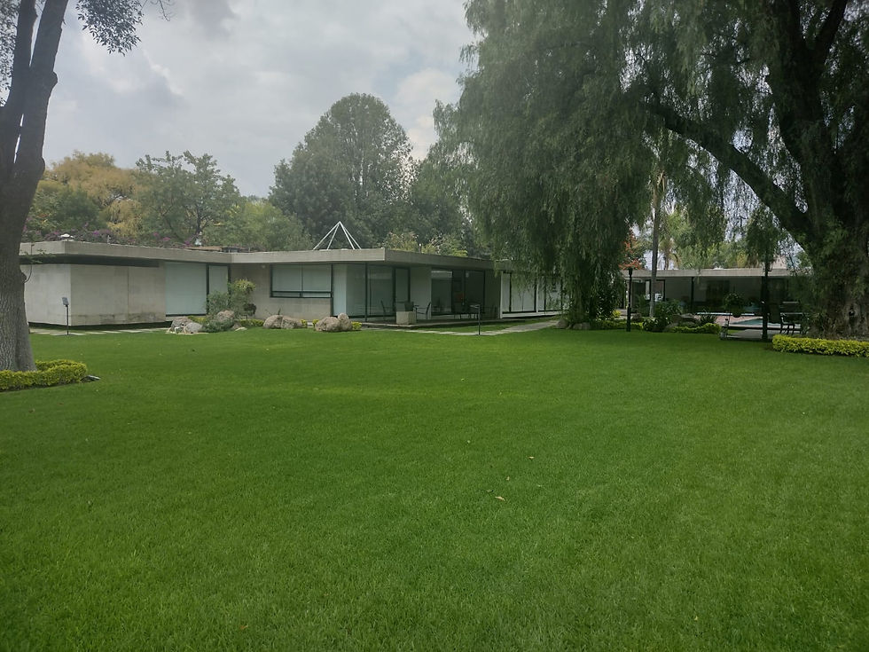 Miniatura: OFICINAS Y CONSULTORIOS LEON GUANAJUATO