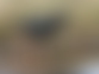 Life behind the bins!