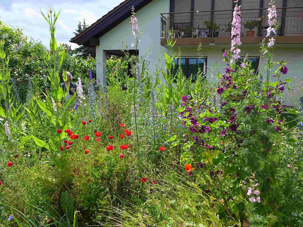 Vortrag am 4.05.2025 VIELFALT im Garten Höfer