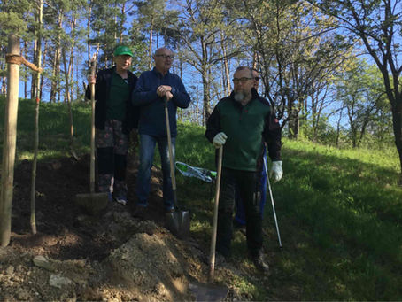 Tag des Baumes