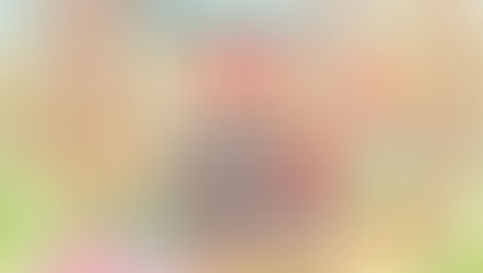 O aniversário do tatu