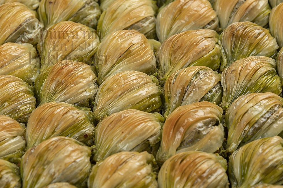 Midye Şöbiyet