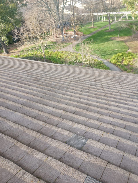 Roof & Gutter Cleaning Services Sonoma, CA