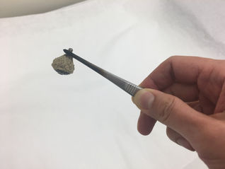 Why is there "PUNK" in my Moxa?