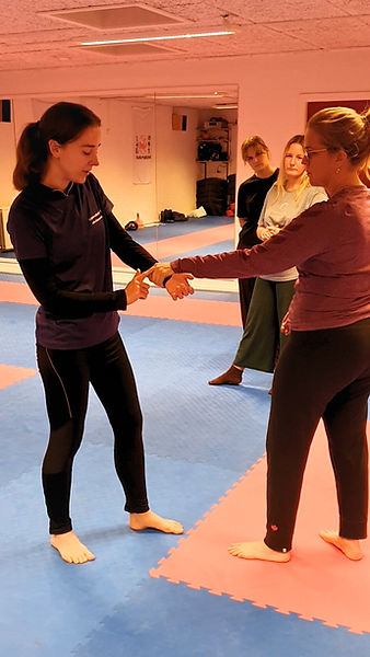 Selvforsvar for kvinder (1).jpg