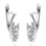 Silver earrings 