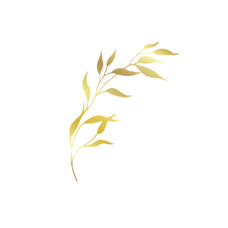 Untitled design (5).png