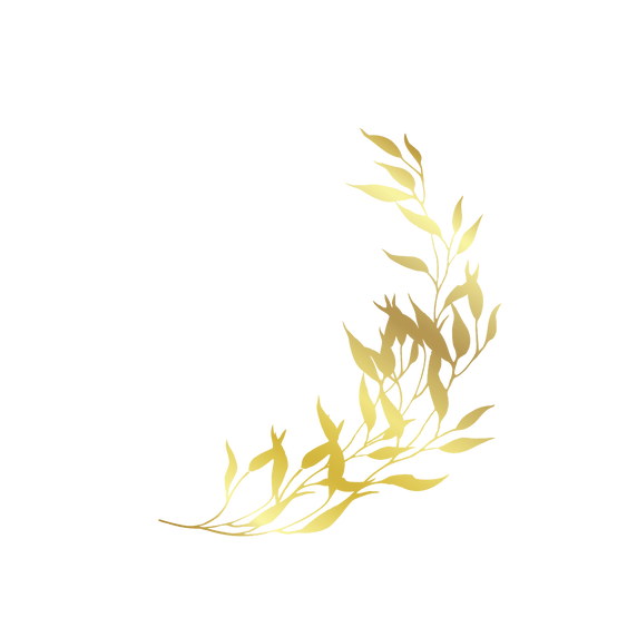 Untitled design (7).png