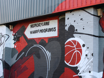 Bird & Bat Boxes Installed