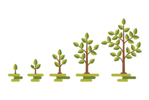 diagramme-vecteur-croissance-arbres-vert