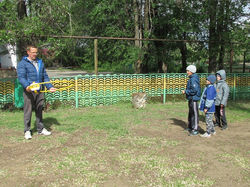 спортивная эстафета