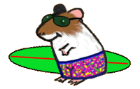 surf-gp.gif